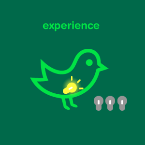 experience